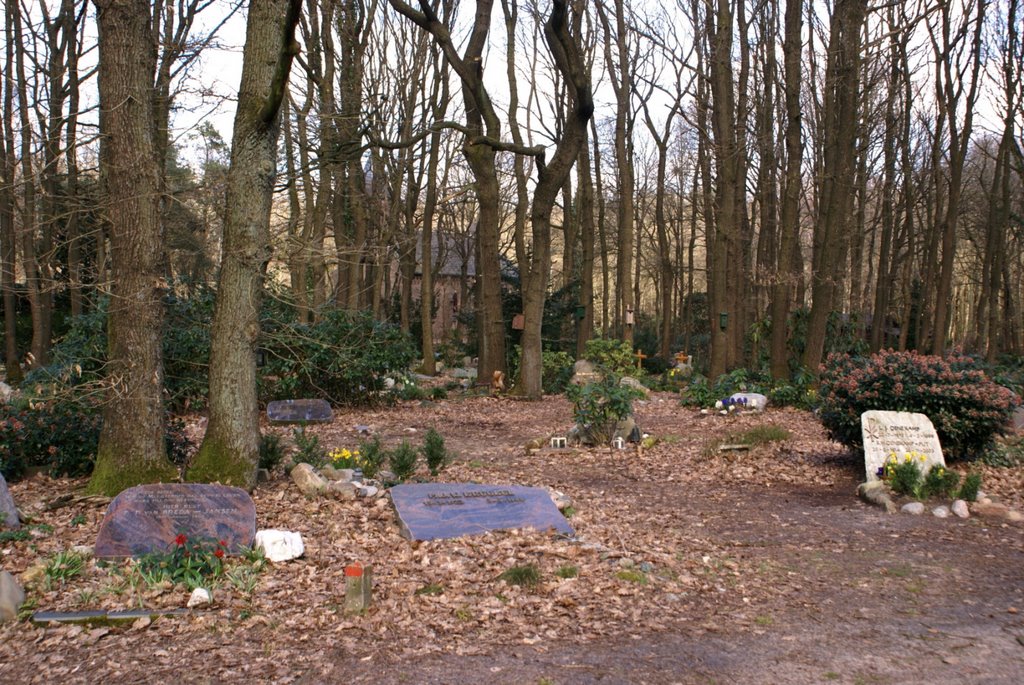 Natuurbegraafplaats Westerwolde