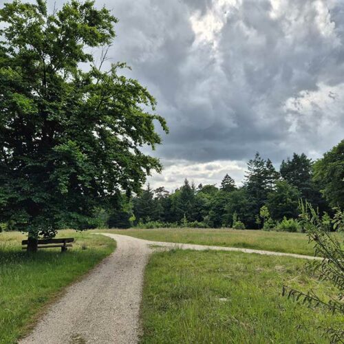 Landgoed Mookerheide