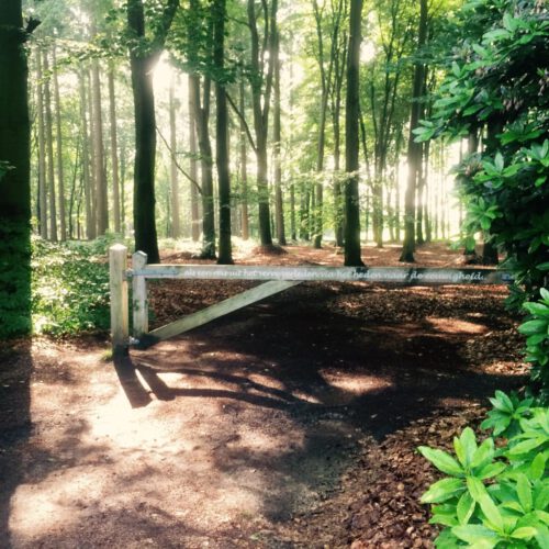 Urnenveld Anloo