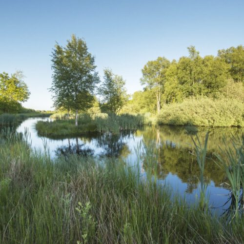 Hillig Meer