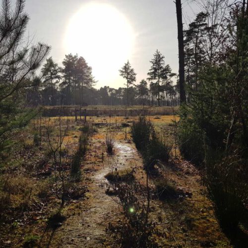 Hoeve Ruth