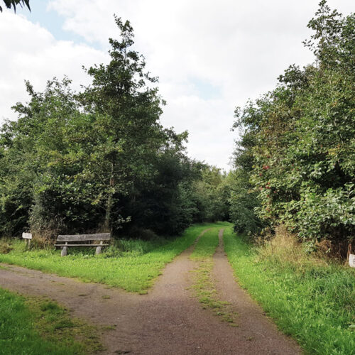 Reiderwolde