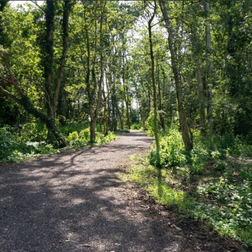 Zomerlanden