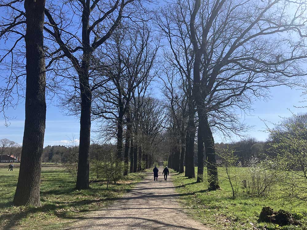 Natuurbegraafplaats Koningsakker