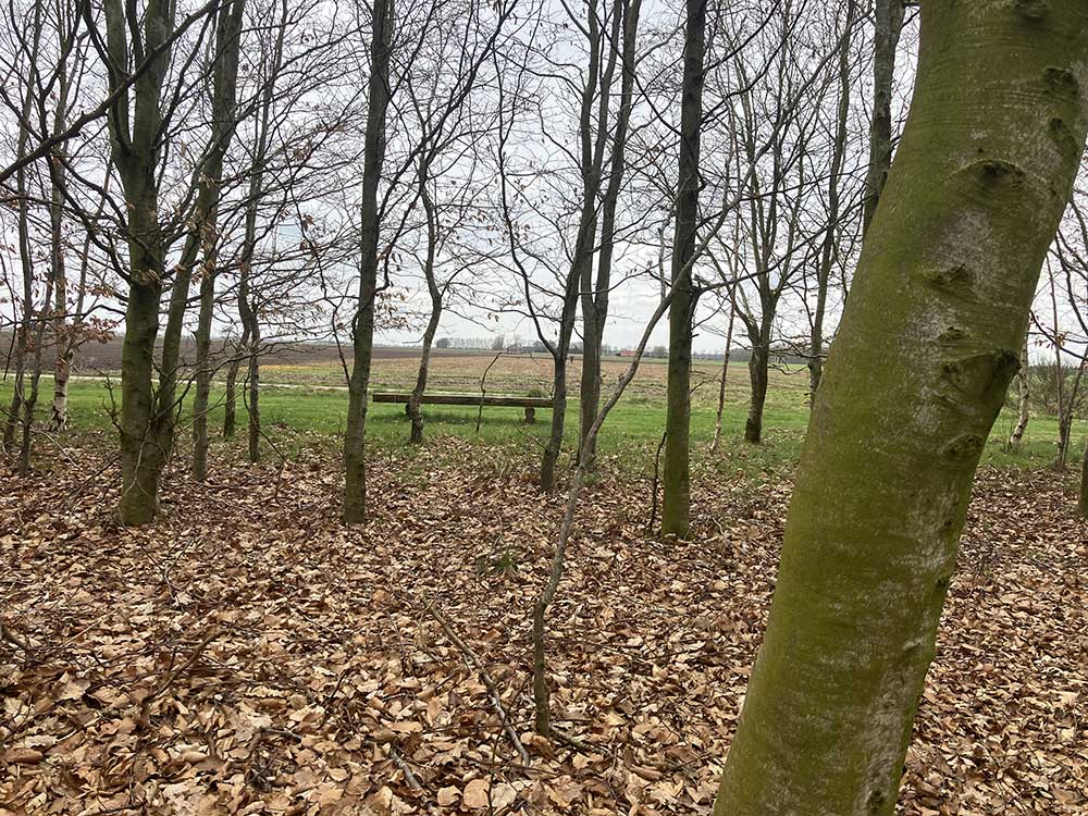 Natuurbegraafplaats Roegwold