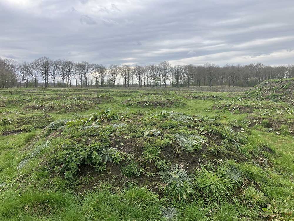 Natuurbegraafplaats Roegwold