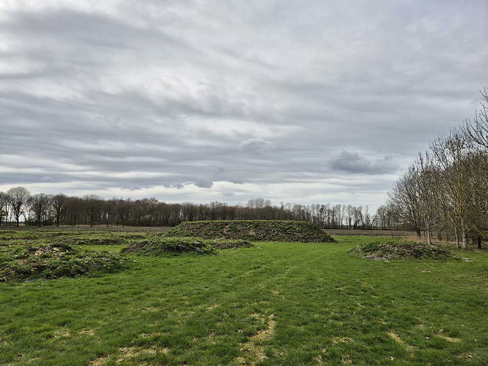 Natuurbegraafplaats Roegwold