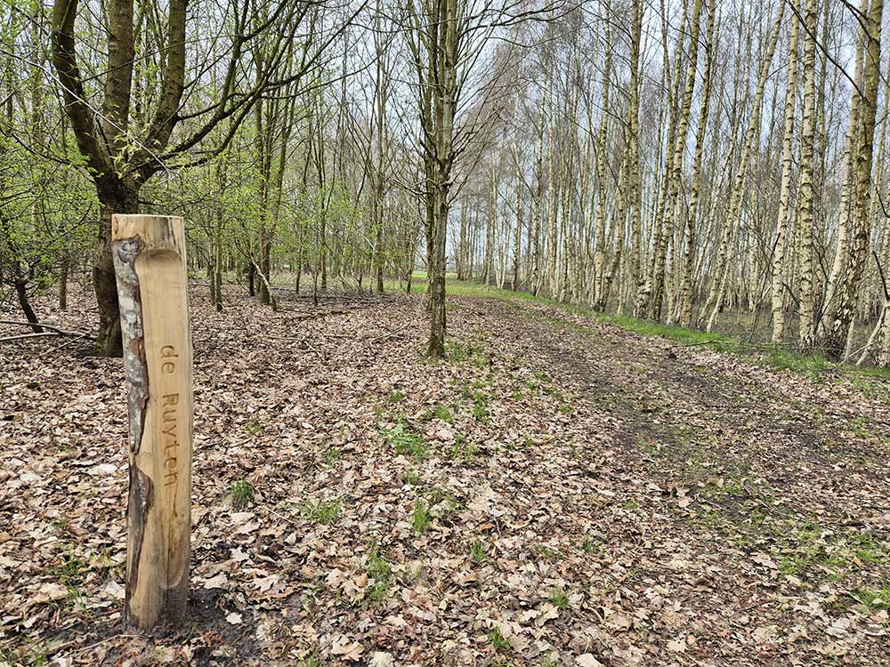 Natuurbegraafplaats Roegwold