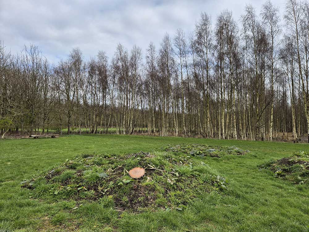 Natuurbegraafplaats Roegwold